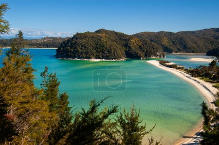 beautiful turquoise water in torrent bay , abel tasman national park, southern island new zealand