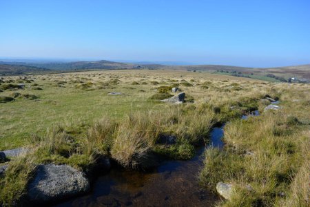 Photo for Longash Leat on Longash Common in summer with blue sky, Dartmoor National Park, Devon, England - Royalty Free Image