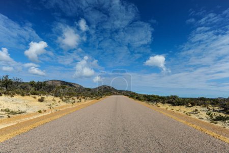Photo for Long, straight road through Cape Le Grand National Park, near Esperance, Western Australia - Royalty Free Image