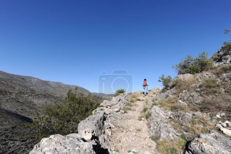 Photo for Woman hiking on ancient Mozarabic trail, originally a Moorish mule track in the Vall de Laguart near Benimaurell, Alicante Province, Spain - Royalty Free Image
