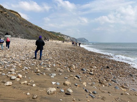 Photo for West Beach and people hunting for fossils on the famous Jurassic Coast, Charmouth, Dorset, England - Royalty Free Image