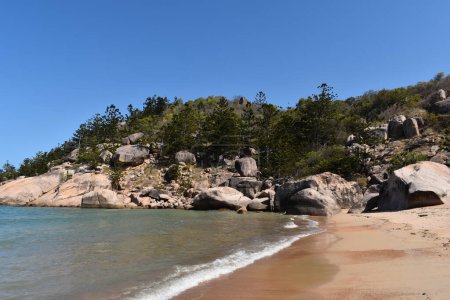 Photo for Idyllic beach scene at Alma Bay with granite rocks and Hoop pines, Magnetic Island, Queensland, Australia - Royalty Free Image