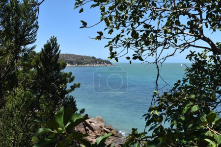 Photo for Tropical vegetation including Hoop pines, on rocky coastline between Nelly Bay and Geoffrey Bay seen from The Gabul Way elevated walking and cycle track, Magnetic Island, Queensland, Australia - Royalty Free Image