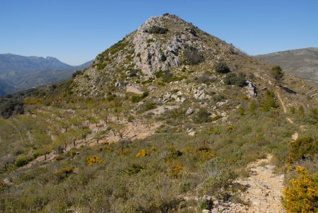 Berglandschaft auf dem Cavall Verd Kamm mit Fußweg, Ginster und Mandelterrassen, in der Nähe von Benimaurell, Vall de Laguar, Provinz Alicate, Spanien