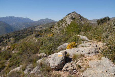 Wanderweg mit gelb-weiß bemalter Wegmarkierung auf dem Cavall Verd Kamm mit Fußweg, in der Nähe von Benimaurell, Vall de Laguar, Provinz Alicante, Spanien