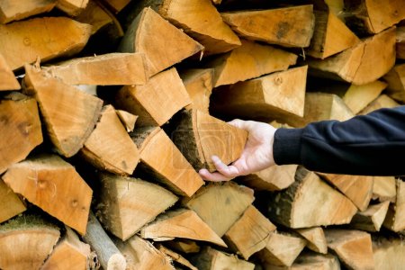 Photo for Firewood and mens hands.solid fuel.Male hands pulling a log from a woodshed.Heating season in Europe.Prices for firewood and heating. - Royalty Free Image