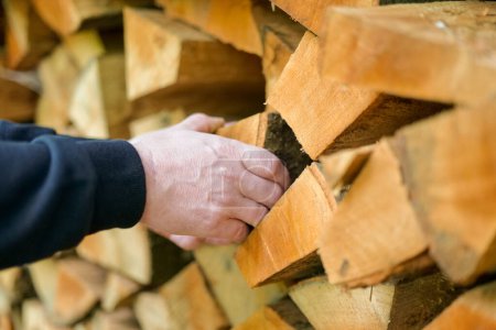 Photo for Firewood close-up. solid fuel.Male hands pulling a log from a woodshed. Heating season.Heating season in Europe.Prices for firewood and heating. - Royalty Free Image