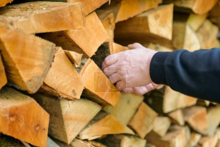 Photo for Firewood and mens hands. solid fuel.Male hands pulling a log from a woodshed. Heating season.Heating season in Europe.Prices for firewood and heating. - Royalty Free Image
