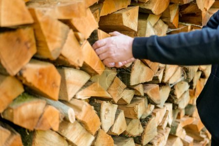 Photo for Firewood and mens hands close-up. solid fuel.Male hands pulling a log from a woodshed. Heating season.Heating season in Europe.Prices for firewood and heating. - Royalty Free Image