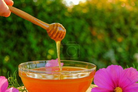flower honey with pink flower.Healing dessert. wooden stick into a glass bowl on a wooden table. Fresh summer honey.beekeeping products. Healing dessert. 