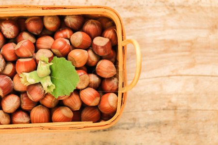  Hazelnut basket on a wooden table.Nut abundance. Fresh harvest of hazelnuts. 