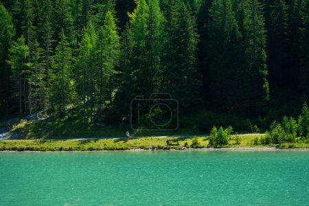 Foto de Lago de montaña Schlierersee, Lungau Austria en pinos. Agua verde transparente del lago sobre fondo azul del cielo - Imagen libre de derechos