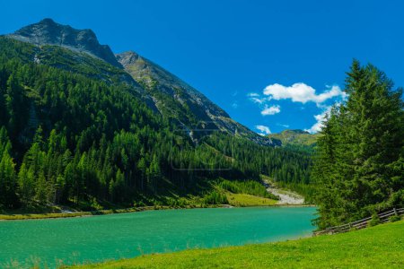 Foto de Lago de montaña Schlierersee, Lungau Austria en pinos. agua verde del lago sobre fondo cielo azul. paisaje de montaña y lago - Imagen libre de derechos