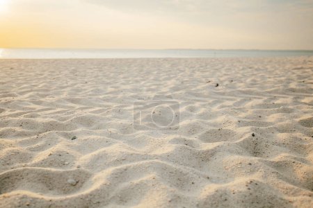 Plages de sable blanc de la mer du Nord en Allemagne au coucher du soleil.Côte de la mer du Nord. Nature de la mer du Nord Allemagne. Fer Island. Plage fond d'été.