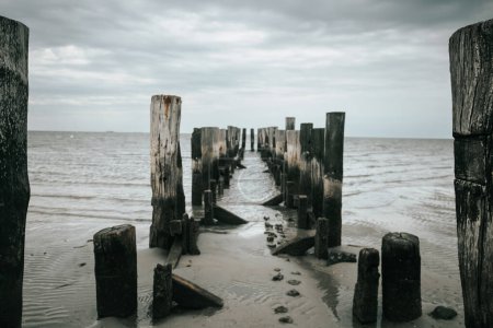  wooden pillars in the sea. Old wooden pier on a cloudy day.sea photo wallpaper. Low tide time.Germany. North Sea.