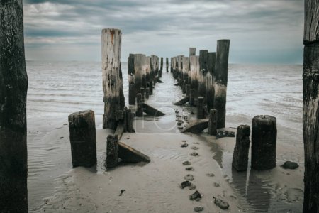 Wadden Sea Coast and wooden pillars in the sea. Old wooden pier on a cloudy day.sea photo wallpaper. Low tide time.Germany. North Sea.