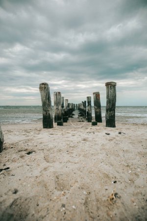 sea wallpaper. Old destroyed wooden pier in the sea on a cloudy day. Wadden Sea Coast and wooden pillars .Low tide time.