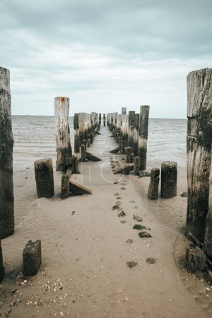 Wadden Sea Coast and wooden pillars in the sea. wooden pier on a cloudy day.sea photo wallpaper. Low tide time.Germany. North Sea.