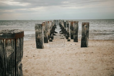 Wadden Sea Coast and wooden pillars in the sea. Old wooden pier on a cloudy day.sea photo wallpaper. Low tide time.