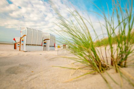 Beach Green grass and Beach cabins on white sand on the sand dunes in the wind.Beach summer background.Summer light mood. 
