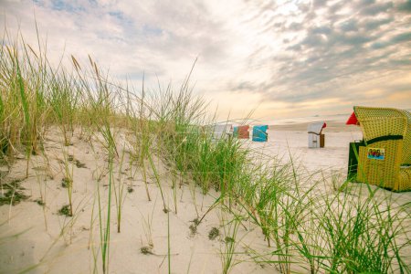 Sandstrände und sandiges Gras. Friesische Inseln Strandpflanzen. Strandrasen und Strandhütten auf weißem Sand auf den Sanddünen im Wind.Strand-Sommerhintergrund.Sommerliche Lichtstimmung. 