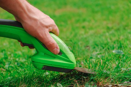 process of cutting grass.Garden equipment and tools. lawn trimmer. electric trimmer in a mans hand close-up cuts the grass. 