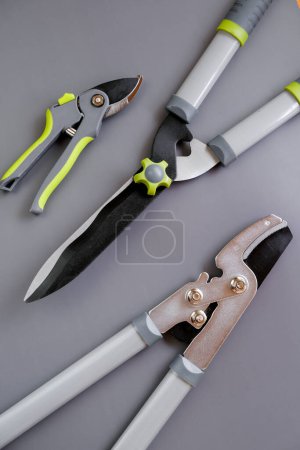 Tools for pruning and trimming plants.Garden tool set on gray background.Secateurs, loppers and hedge trimmers.Garden equipment and tools.Tools for pruning and trimming plants.Plants Pruning Tool. 