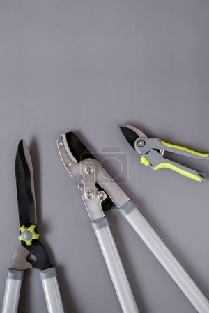 Garden tool set on gray background.Secateurs, loppers and hedge trimmers.Garden equipment and tools.Tools for pruning and trimming plants.Plants Pruning Tool. 