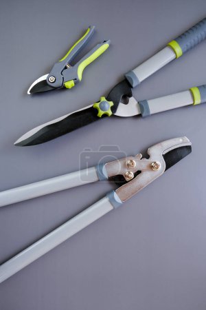 Secateurs, loppers and hedge trimmers for pruning and trimming plants.Steel Garden tool set on gray background..Garden equipment and tools.Tools for pruning and trimming plants.Plants Pruning Tool. 