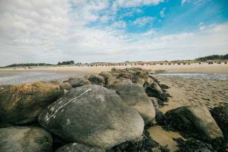 Groyne en pierre gros plan sur fond de plage.Rochers de pierre sur la plage à marée bas.Papier peint photo marine.Nature de la côte de la mer du Nord. Îles frisonnes d'Allemagne. Repos sur la mer. 