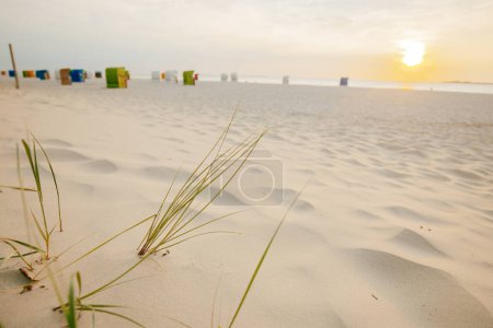 Sandy beaches with beach cabins on pristine white sands..Sea vacation.Seaside resort. Beach summer mood.Vacation on the North Sea. Beaches of the Frisian Islands in Germany.Beach summer background