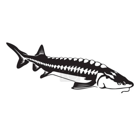 black white sturgeoneers fish silhouette 