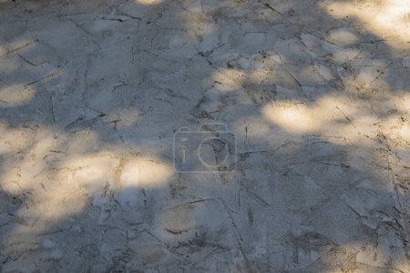 Photo for Tree shadows on the Gray cement and concrete background, shadow and sunlight - Royalty Free Image