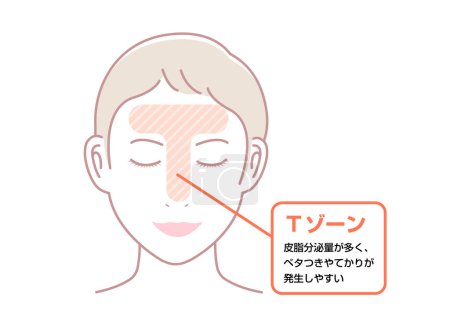 Téléchargez les illustrations : Illustration vectorielle de la zone T du visage féminin. - en licence libre de droit