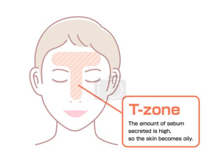 Illustration for Vector illustration of T-zone of female face. - Royalty Free Image