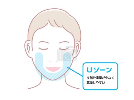 Illustration for Vector illustration of U-zone of female face. - Royalty Free Image