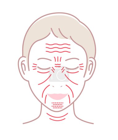 Illustration for Facial wrinkles ( female face ) vector illustration / no text - Royalty Free Image