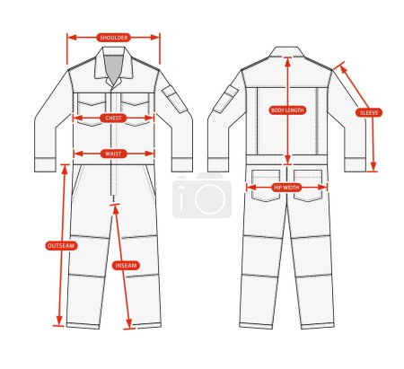 Illustration for Clothing size chart vector illustration ( long-sleeves working overalls | jumpsuit ) - Royalty Free Image