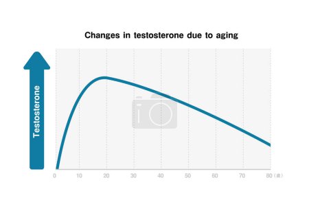 Diagramm der Veränderungen des männlichen Hormons (Testosteron) aufgrund der Alterung