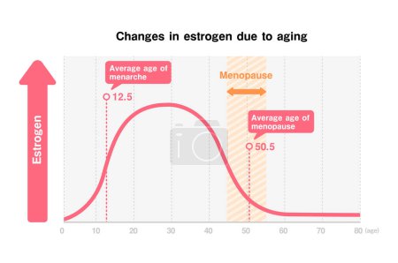 Ilustración de Gráfico de los cambios en las hormonas femeninas (estrógeno) debidos al envejecimiento - Imagen libre de derechos