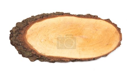 Téléchargez les photos : Une tranche de bois de bouleau représentant le profil de l'arbre coupé. - en image libre de droit