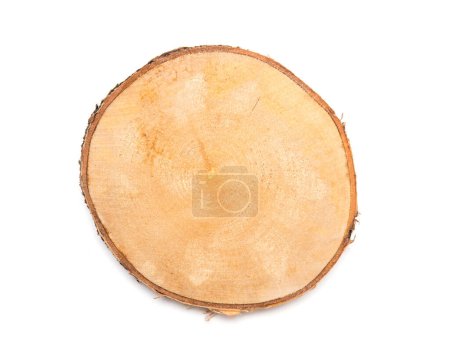 Téléchargez les photos : Une tranche de bois de bouleau représentant le profil de l'arbre coupé. - en image libre de droit