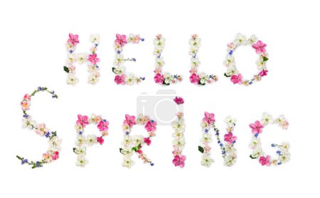Hello spring lettering text from of flowers apple tree and blue wildflowers forget-me-nots on white background. Top view, flat lay