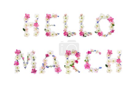 Téléchargez les photos : Hello March lettering text from of flowers apple tree and blue wildflowers forget-me-nots on white background. Top view, flat lay - en image libre de droit