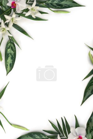 Téléchargez les photos : Feuilles tropicales de palmier et dieffenbachia, orchidée de fleur rose blanche, et fleurs blanches tropicales sur fond blanc avec l'espace pour le texte. Vue de dessus, plan plat - en image libre de droit