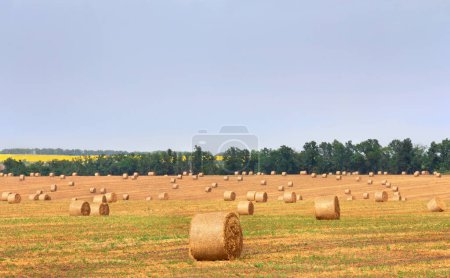 Ein Feld mit Strohballen nach der Ernte am Himmel