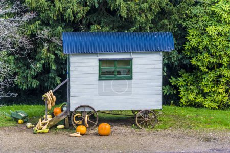 Téléchargez les photos : Une vue des légumes de courge d'hiver à côté d'une caravane près de Arundel, Sussex, Royaume-Uni en automne - en image libre de droit
