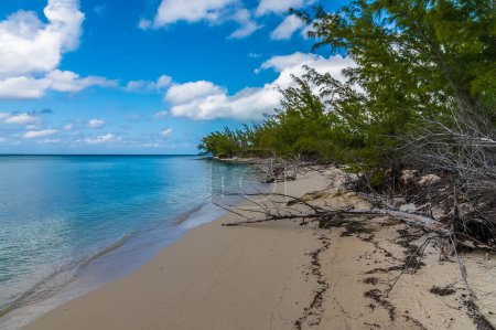 Foto de A view of white sand and turquoise water on a deserted beach on the island of Eleuthera, Bahamas on a bright sunny day - Imagen libre de derechos