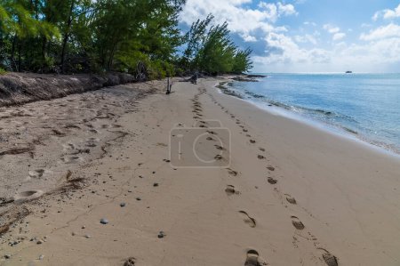 Foto de A view over footprints on a deserted beach on the island of Eleuthera, Bahamas on a bright sunny day - Imagen libre de derechos