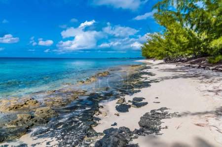 Foto de A view down a rocky shoreline on a quiet beach on the island of Eleuthera, Bahamas on a bright sunny day - Imagen libre de derechos